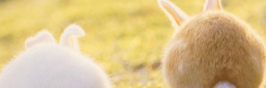 ang_9potion's profile banner image