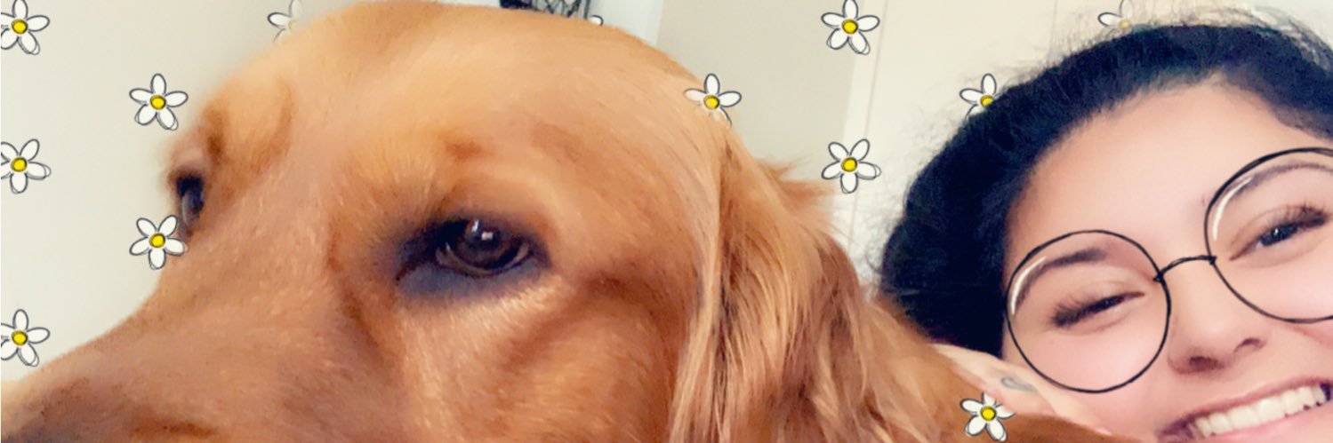 Maffy0077's profile banner image