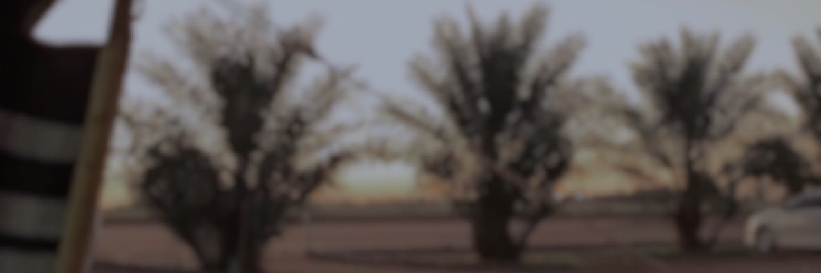 _zkso's profile banner image