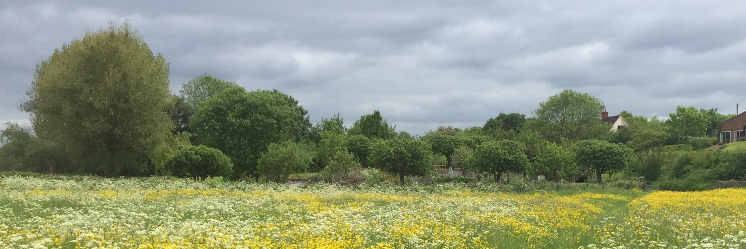 Keith Pluymers banner