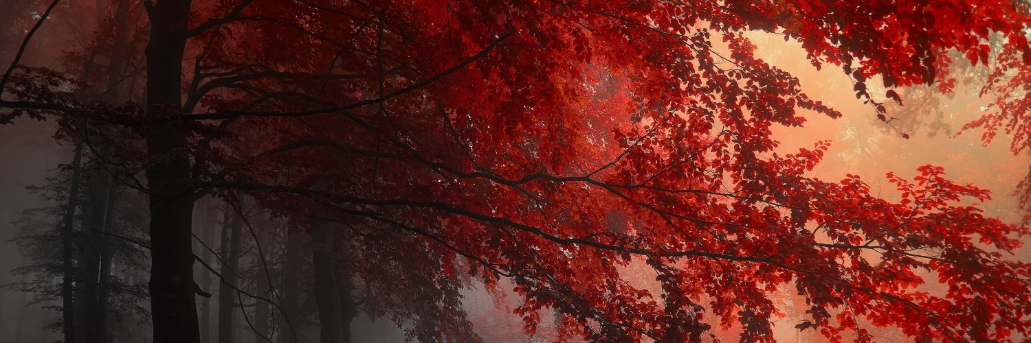 Val_caballero_'s profile banner image