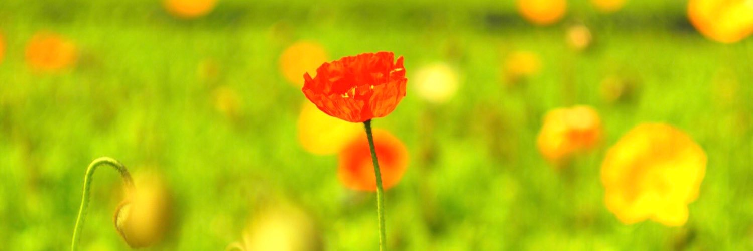 maminchoooooooo's profile banner image