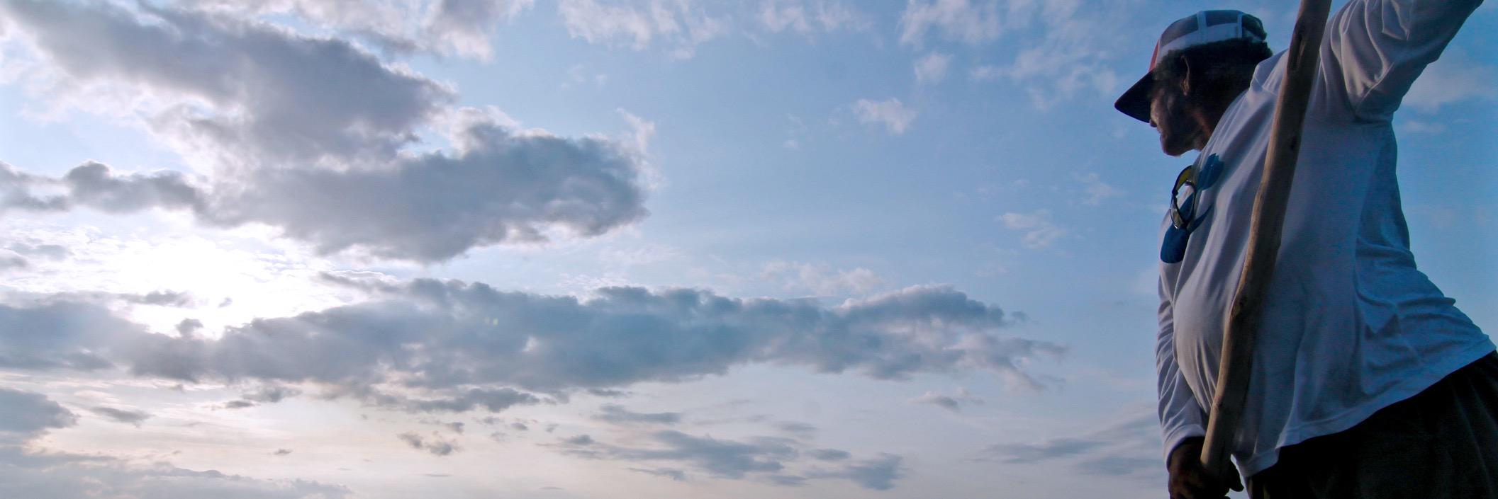 bluehorizonfly's profile banner image