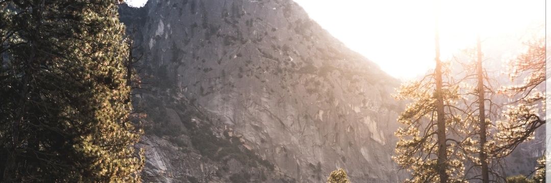 aliyaabduallah's profile banner image