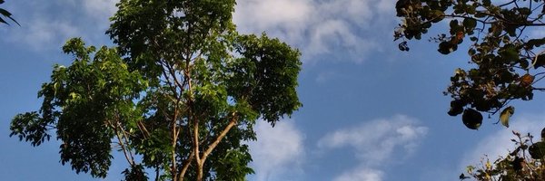 imsyeikh Profile Banner