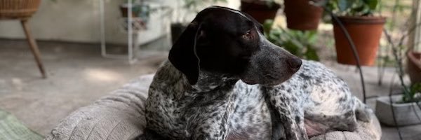 LawrenceSbackup's profile banner image