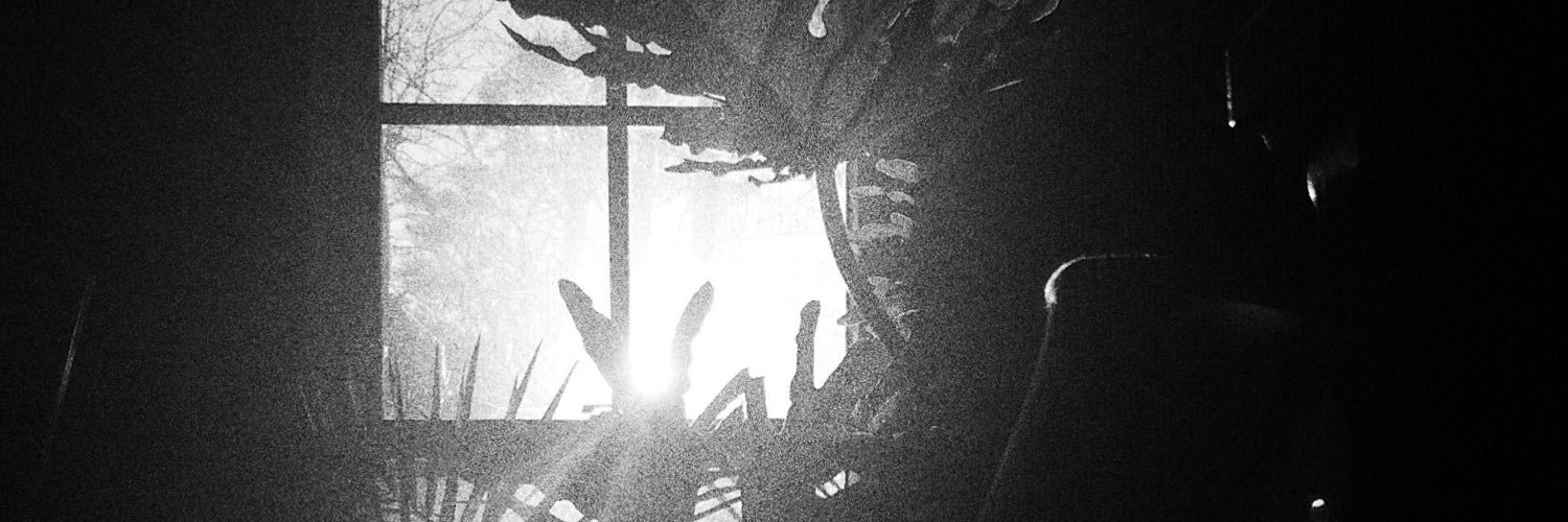 rhynsav's profile banner image