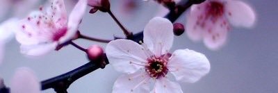 YusFlores's profile banner image