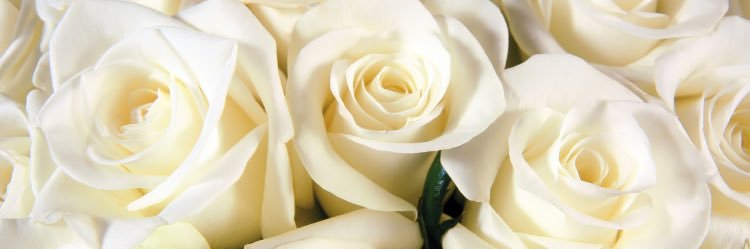 EmilyBrooke402's profile banner image