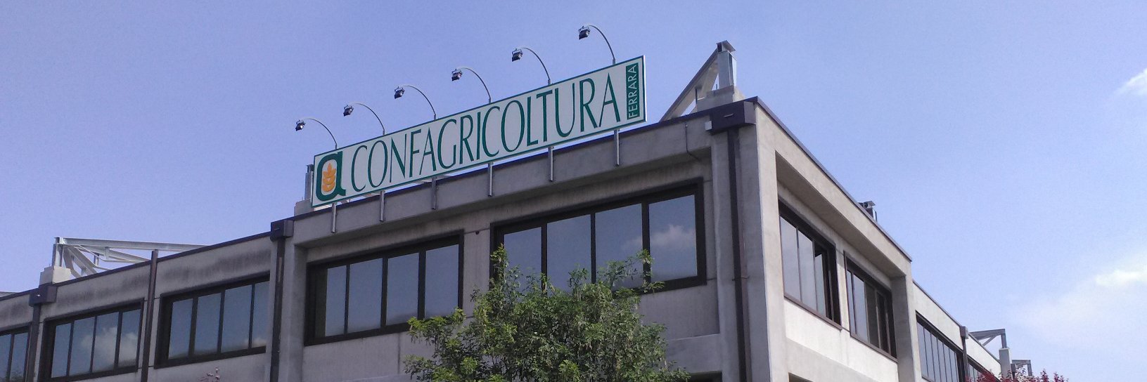 confagriFE's profile banner image