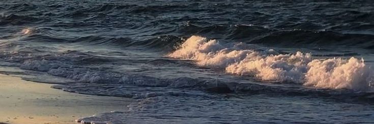 Cuzz52's profile banner image