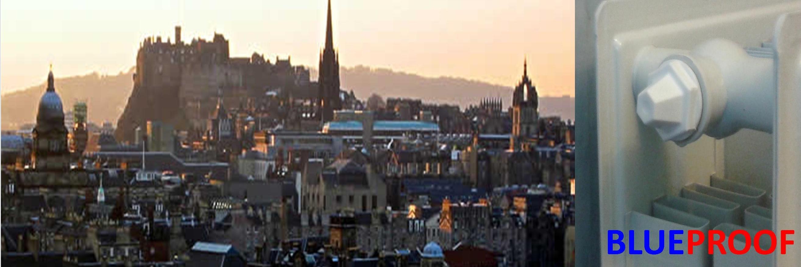 blueradnorth's profile banner image
