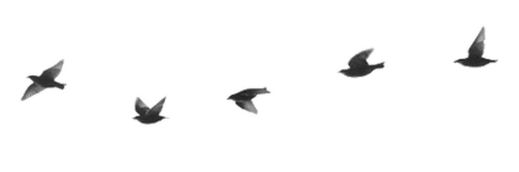 Mir_art_'s profile banner image