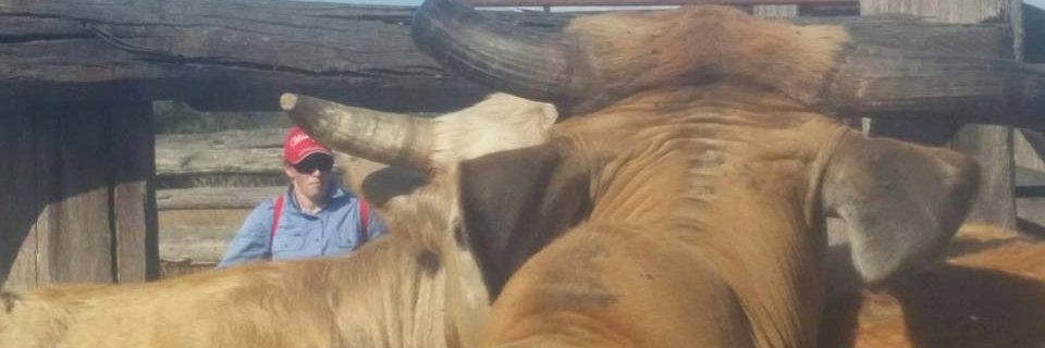 NatKConnors's profile banner image