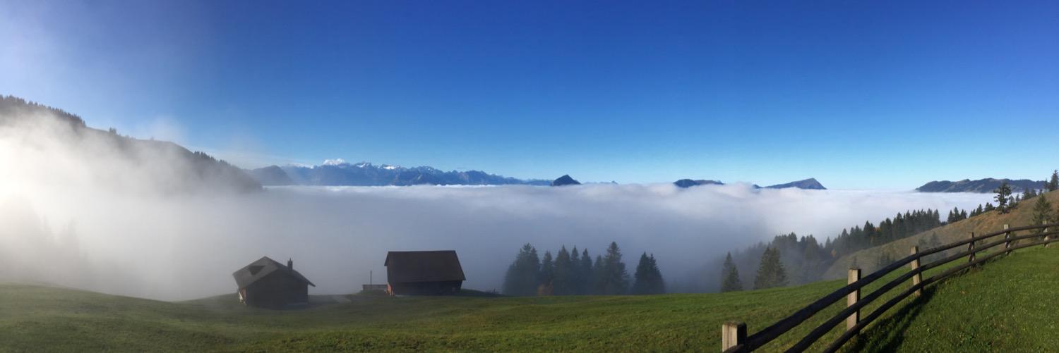 p_ahlert's profile banner image