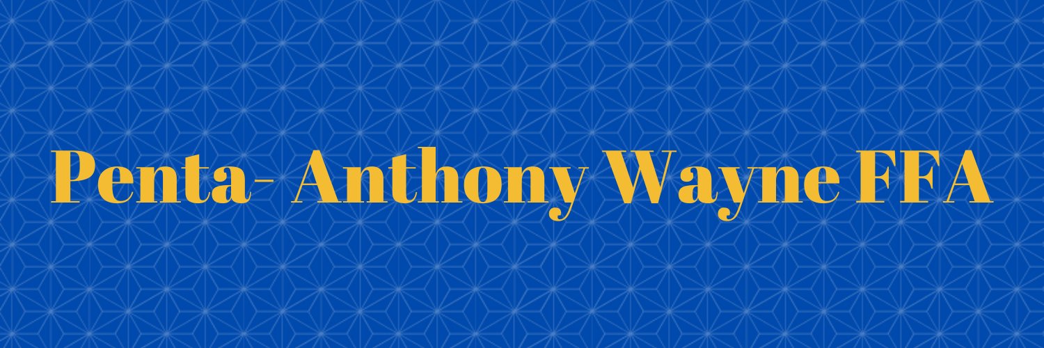 anthonywayneffa's profile banner image