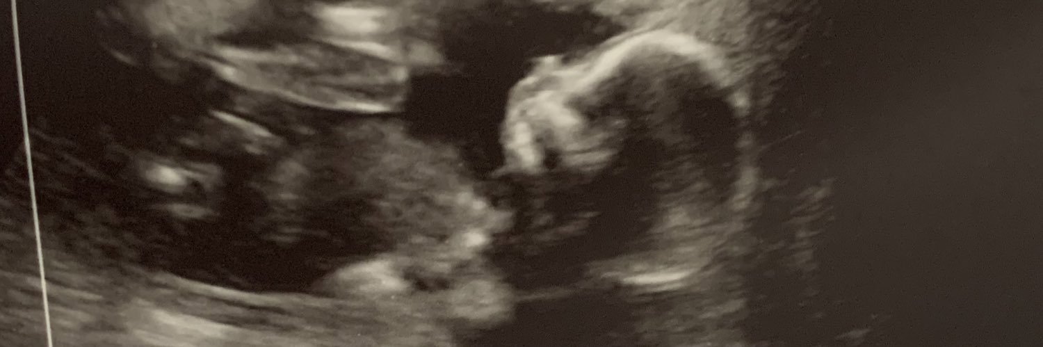 sarahphizzy's profile banner image
