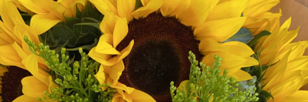 _eevelynnm's profile banner image