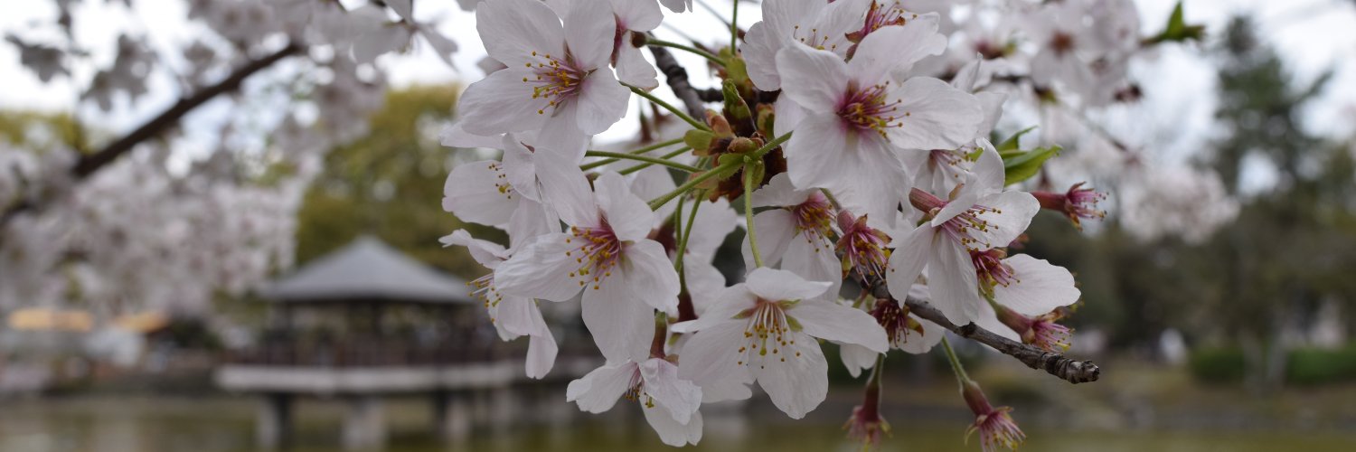 edy_151's profile banner image