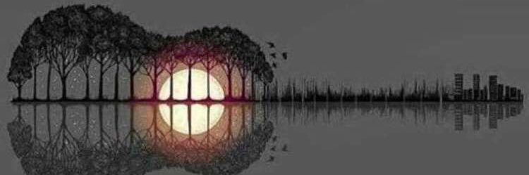 syn8w300's profile banner image
