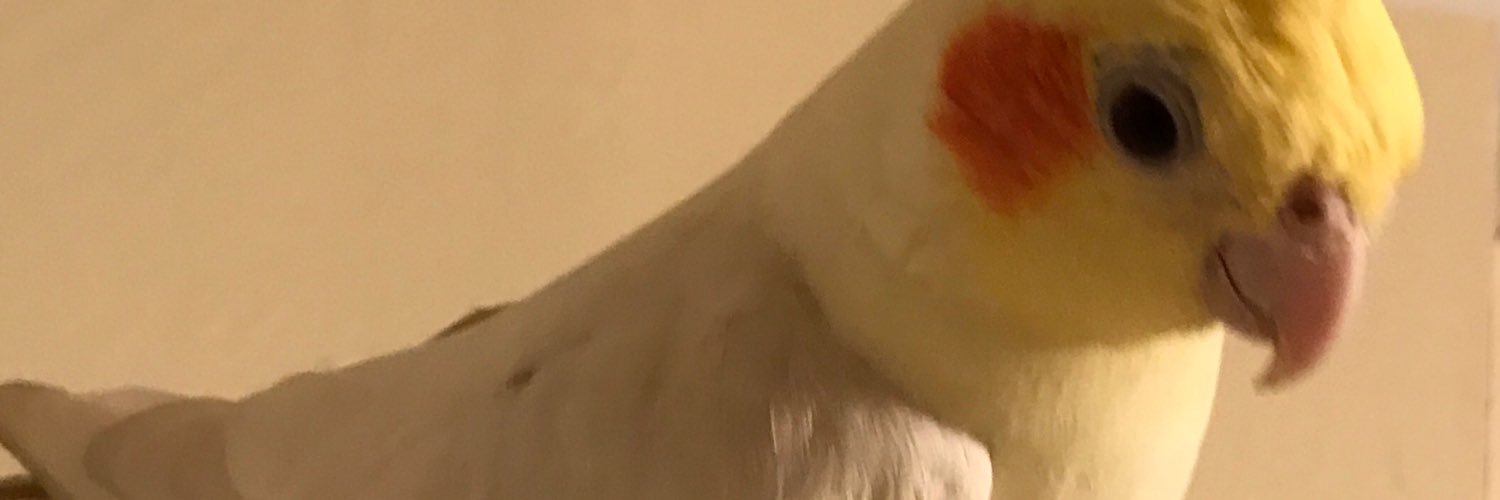 nf_peacemaker's profile banner image