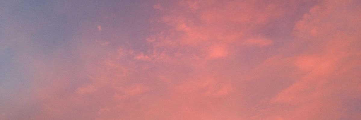 alwaysbecarrot's profile banner image