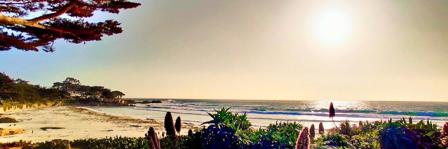MyMarmol's profile banner image