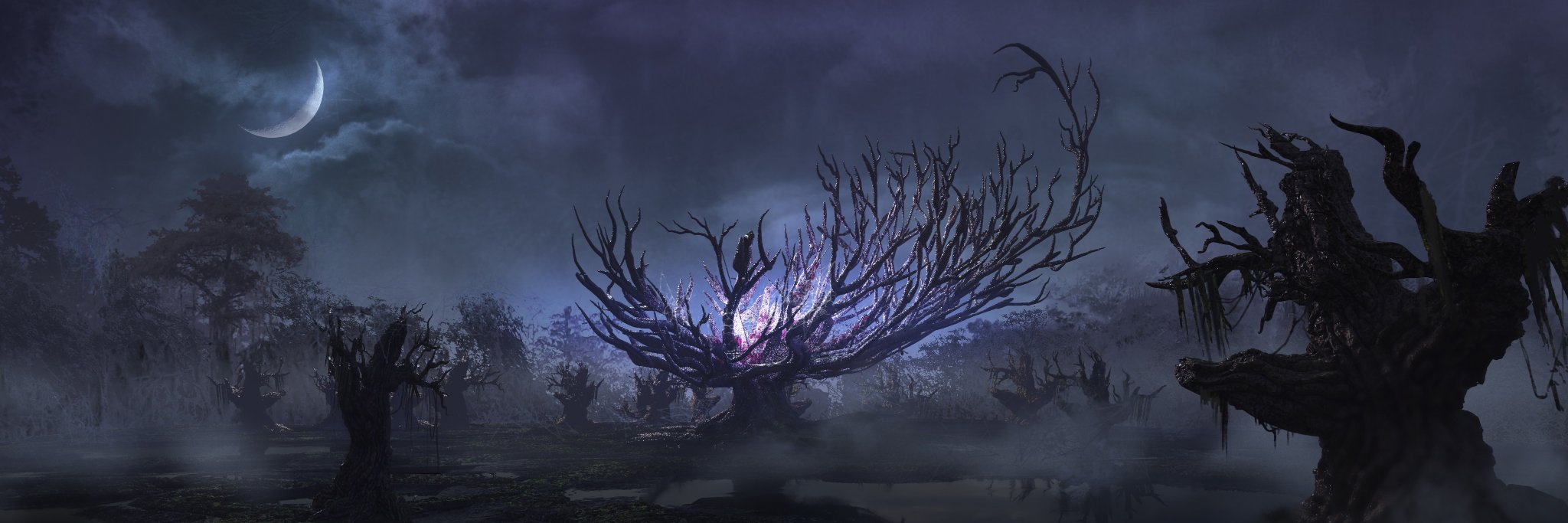 EHOTO_'s profile banner image