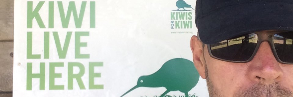 Simon Sheen banner
