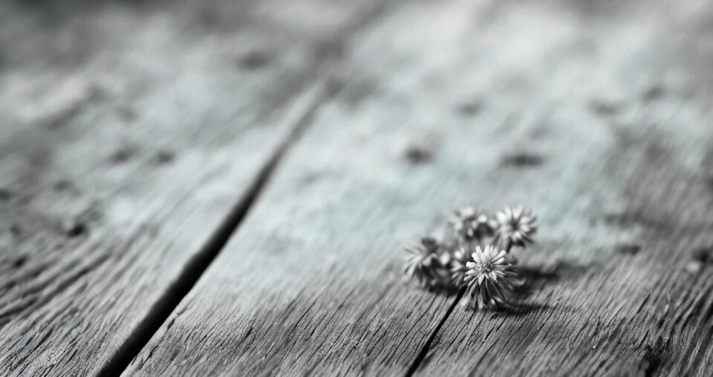 言の葉しずく帖｜No Books, No Life banner