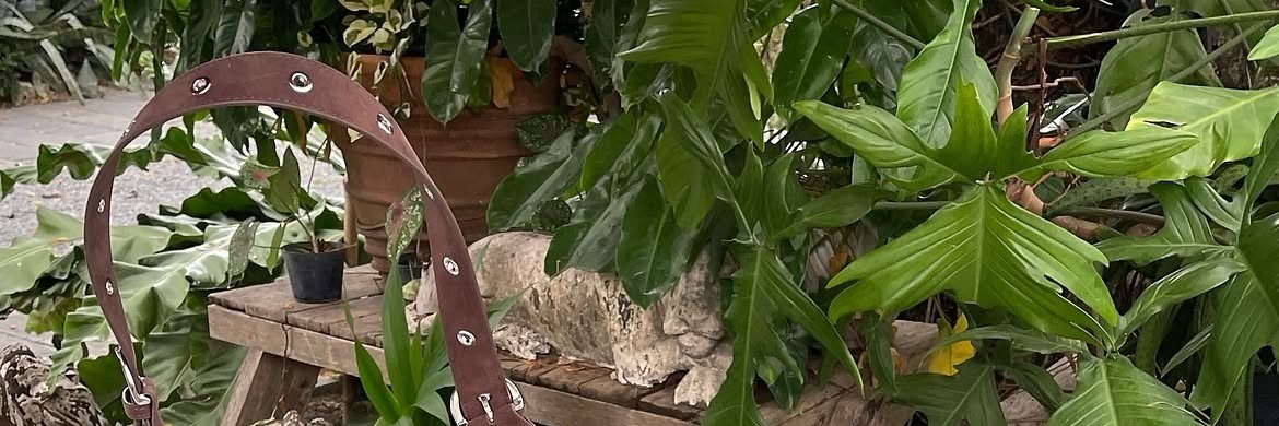 arumiave's profile banner image