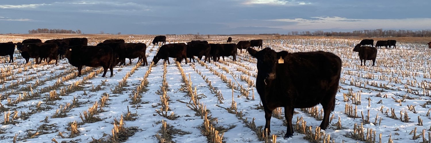 Jagger Thomas banner