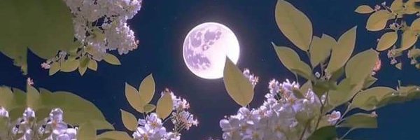 deserve923 Profile Banner