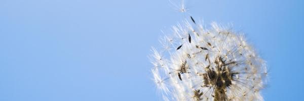 Citizensforair Profile Banner