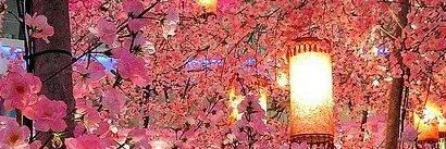 Mervezden9's profile banner image