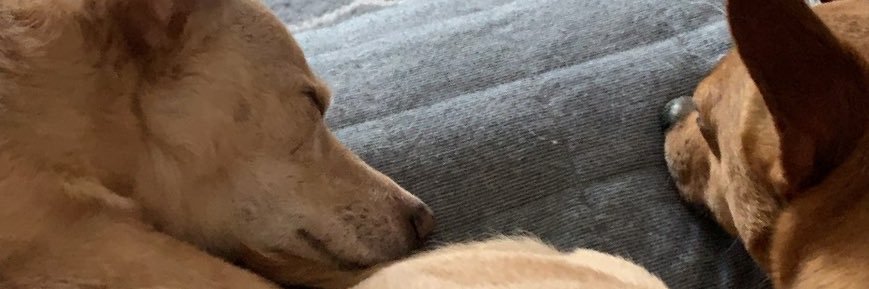 mackpleasant's profile banner image