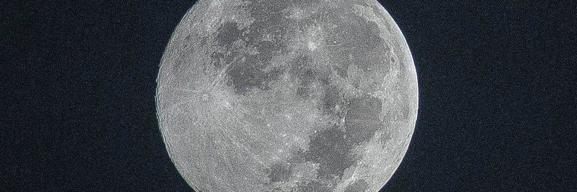 devilarasherma's profile banner image