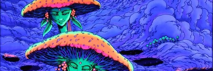 rweecz's profile banner image