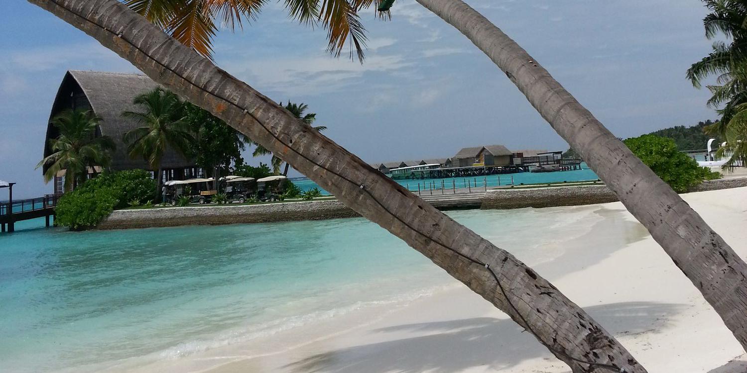 Alrawajeh_m's profile banner image