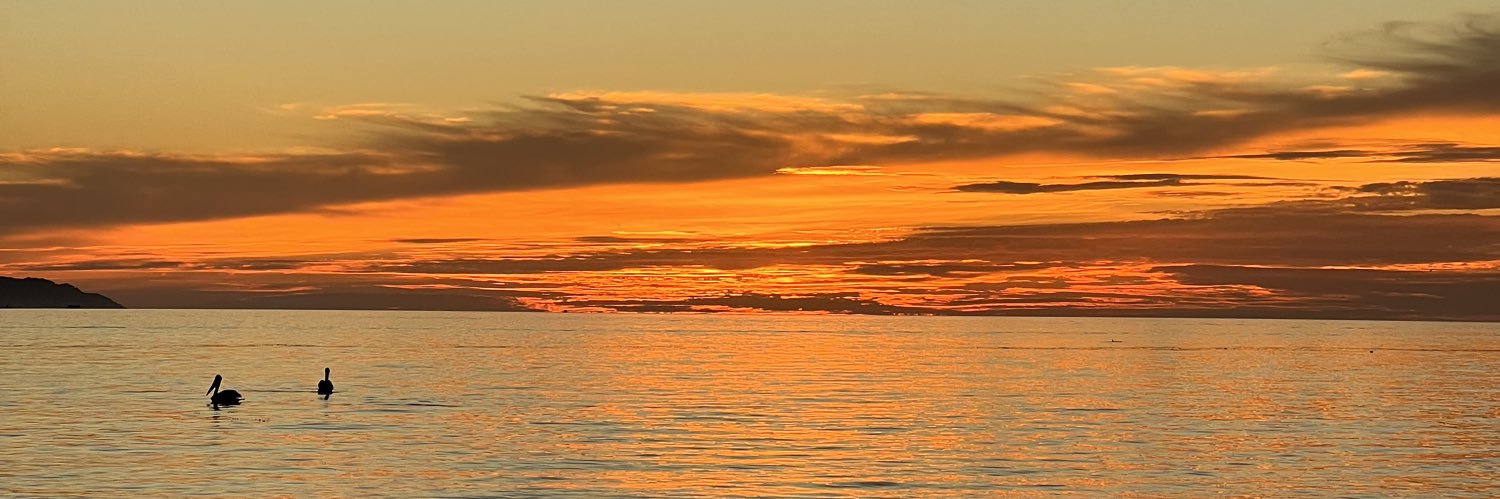 vdlpz's profile banner image