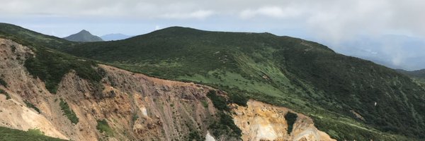 onebeestings Profile Banner