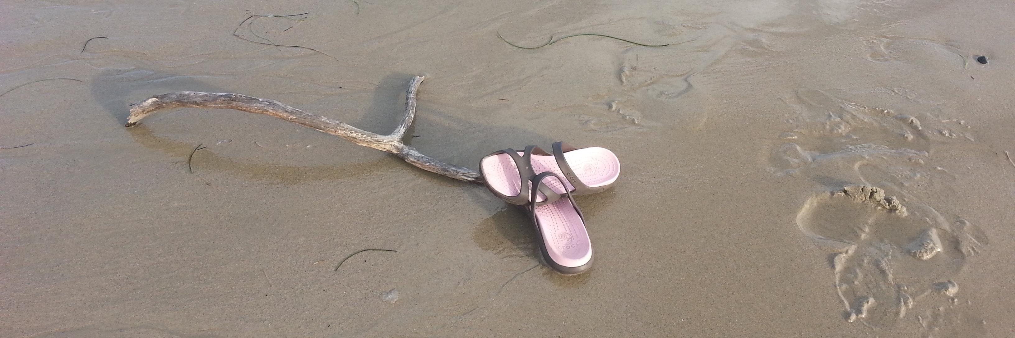 Rose Portillo banner