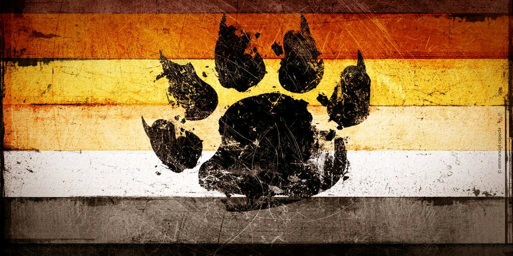 PExrafael's profile banner image