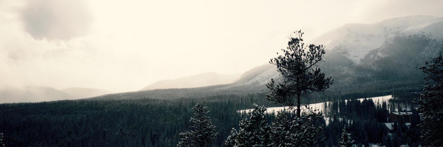 zachholman's profile banner image