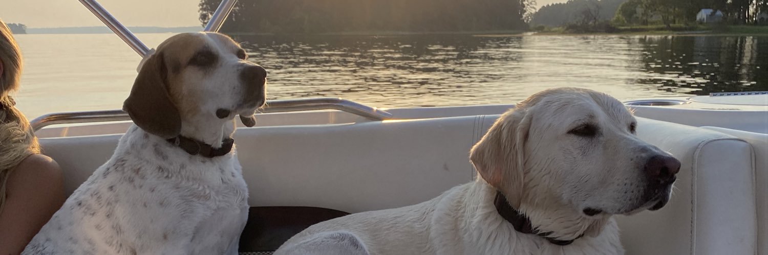 Mattkhendon's profile banner image