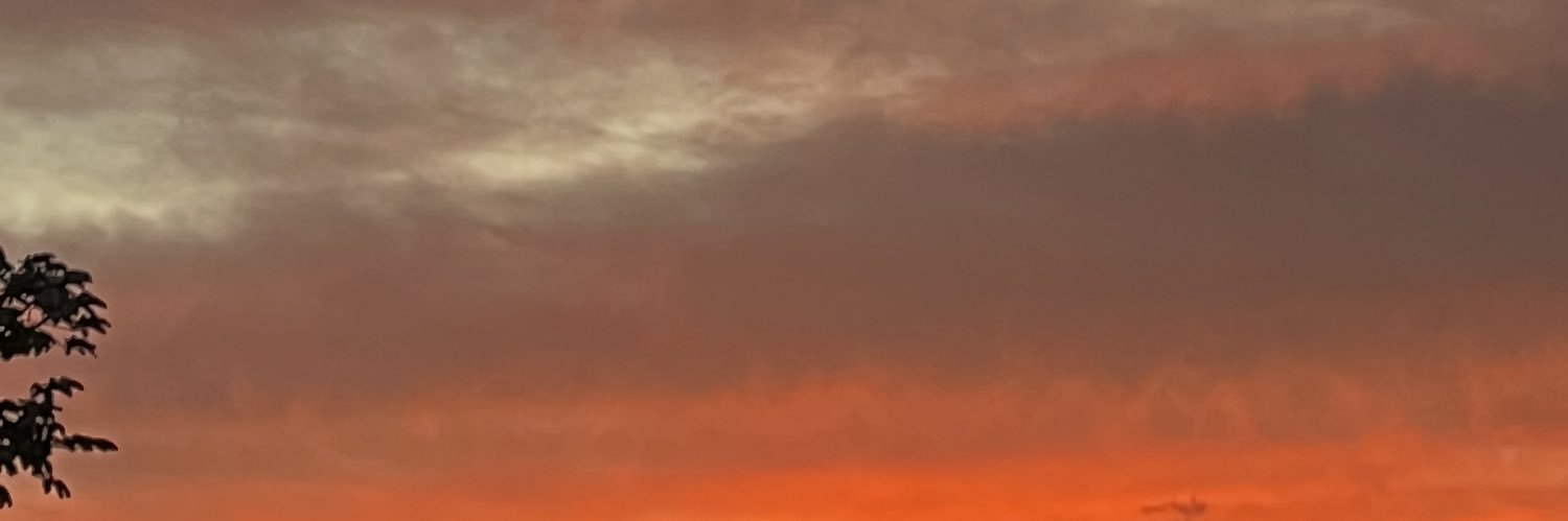 Marianaa1002's profile banner image