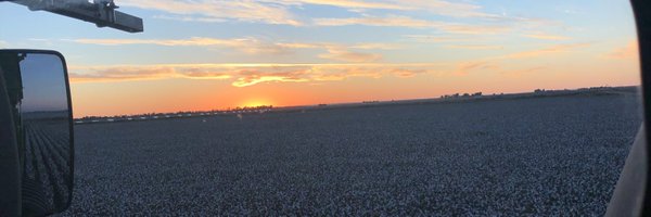 kt_d_ Profile Banner