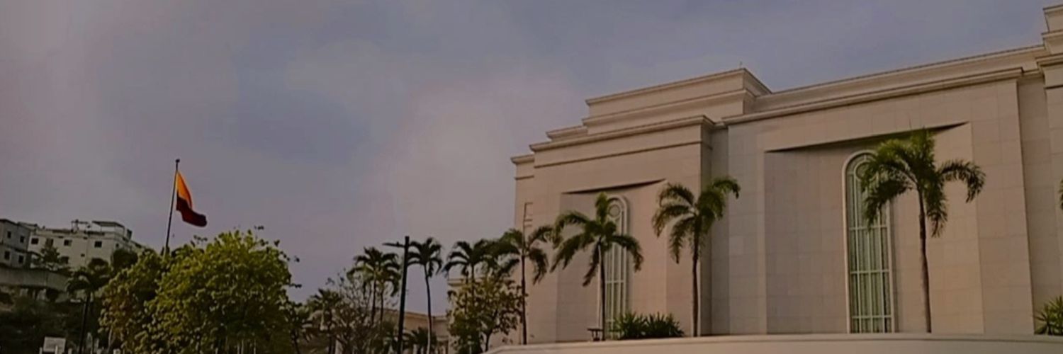 sebascodeDev's profile banner image