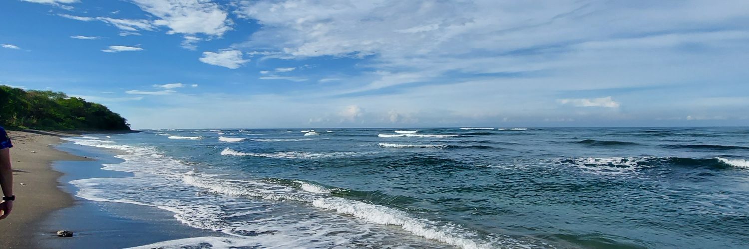 xndllscs's profile banner image