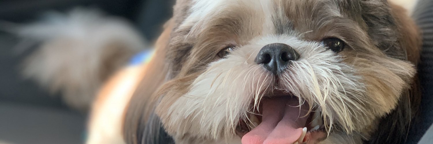 MarnjanC's profile banner image